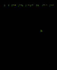 《遗产之谜》英文免安装版