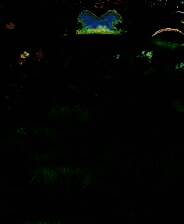 《魔法花园》英文免安装版