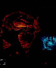 《真人快打9：完全版》中文硬盘版