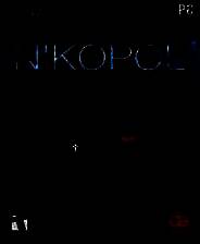 《尼科波尔：不朽的秘密》简体中文镜像版