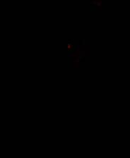 《纸嫁衣6千秋魇》电脑版