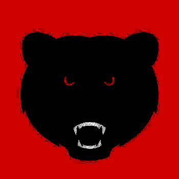 黑熊搏击 V黑熊搏击1.6.1