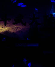 《斗武大陆：遁甲疑阵》简体中文免安装版