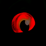 诅咒之岛 解锁全部龙最新版 V0.9.8.9.9