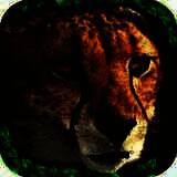 猎豹模拟器 中文版 V1.1.2