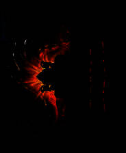 《国王的宝座》英文硬盘版