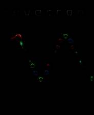 光波阵型 完全版 单独破解补丁[PROPHET]