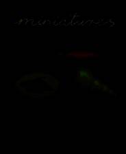 《轻物心语》免安装汉化版