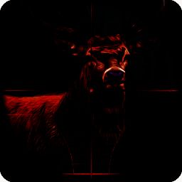 野生动物狙击手 最新版 V2.4