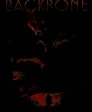 《浣熊硬探：文物版》中文免安装版