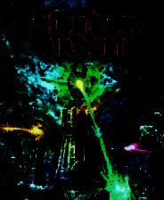 《阿达尼亚的守护者》 XBLA英文版XBOX360版