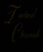 《战术编年史》日文免安装版