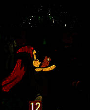 《再见德波尼亚》简体中文免安装版