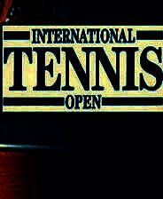 《国际网球公开赛》英文免安装版