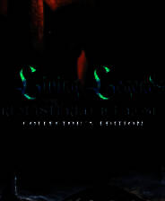 《生命传奇重制：冰玫瑰》英文免安装版