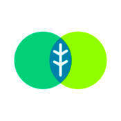 网易薄荷直播 V1.2.0