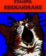 《猫咪恶作剧》英文免安装版