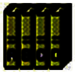 创奇文件资料管理v10.0