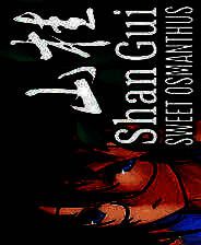 《山桂》 简体中文免安装版