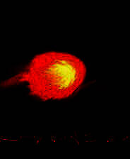 《雷泽洛斯》简体中文免安装版