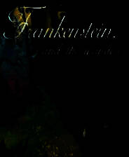 《流浪者：弗兰肯斯坦的生物》英文免安装版