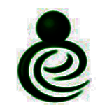 网络人远程控制软件 企业版v6.655