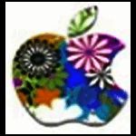 唯美水印拼接v1.01