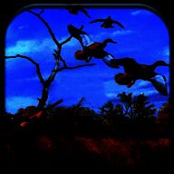 真实野鸭狩猎 V0.8.1