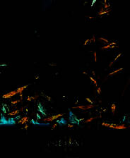 《圣女之歌2：撒雷姆天使》简体中文免安装版