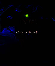 《子夜召唤：安娜贝尔》英文硬盘版