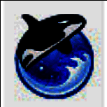 Orca浏览器32位1.2.0.6