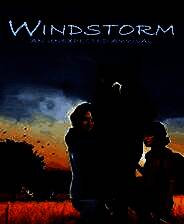 《风暴：意外的到来》英文免安装版