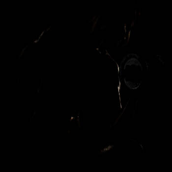 FitTime健身教练 V1.0.1