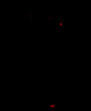 《暗魂》简体中文免安装版