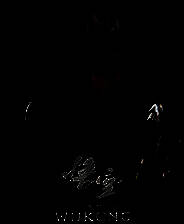 《黑神话：悟空》凡品大圣套炎龙侠配色MOD