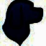 《小狗PE资源管理器》最新版