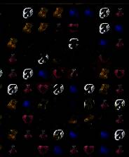 《德莱瑞亚守护者》英文免安装版