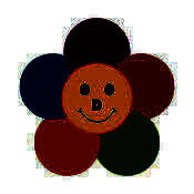 德智微课堂 V1.0.6