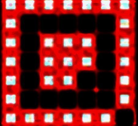 多窗口文件整理工具(Q-Dir)v10.41