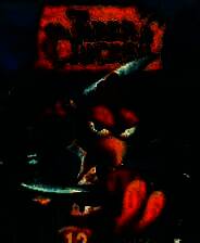 《怪鸡枪手：老虎与小鸡》 英文免安装版