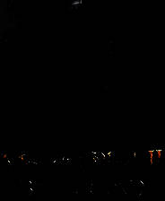 《骑马与砍杀2》部队重做MOD