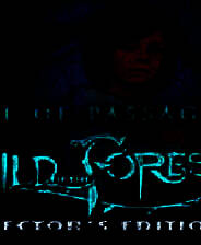 《路之祭2：森林之子》 简体中文免安装版