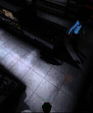 《小猫咪，大城市》免安装中文版