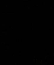 《笑傲江湖：凌云外传》简体中文免安装版