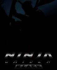 《忍者龙剑传2：黑之章》v1.0 十二项修改器[3DM]