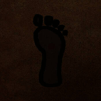 足疗健康养生 V3.0.1