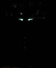 《残酷谎言13：白夫人》简体中文免安装版