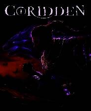 《寇瑞登》v1.0.1 十项修改器[3DM]