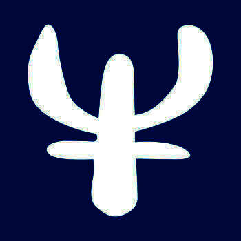 斯特纽监控 V1.1