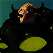 植物大战僵尸新指导版 免费下载 V0.17